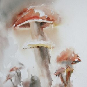 champignons