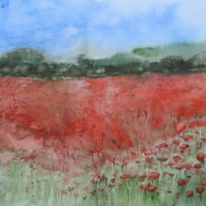 Paysage champs coquelicots