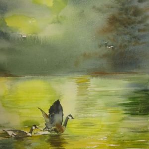 Canard battant des ailes dans le lac