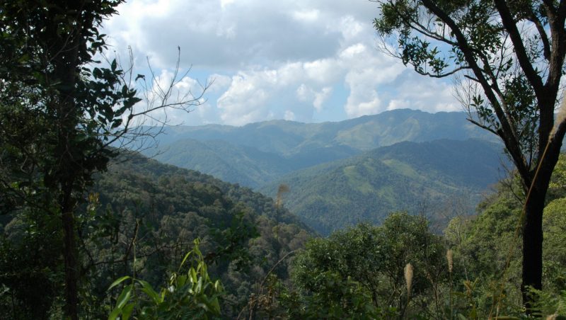 Uitzicht op Laos, China en Myanmar: bergen, bossen, wolken