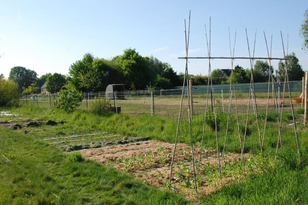 De wisselteelt moestuin van Carolien in april 2025. Vooraan zie je de peulvruchten al goed groeien. Ook de aardappelen, ui en look zijn al geplant. De velden van de vruchtgewassen en de kolen zijn nog leeg.