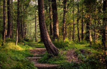 Natuurbegraafplaats Hillig Meer