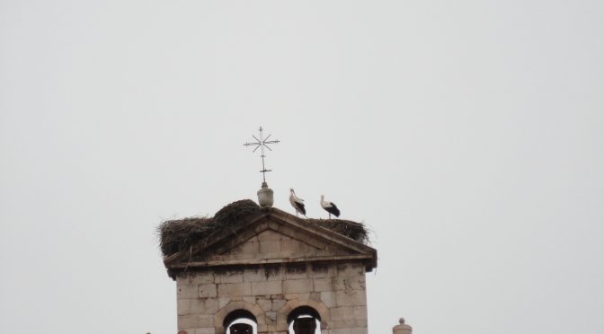 CAMINO FRANCÉS – 2012 – DAG 11
