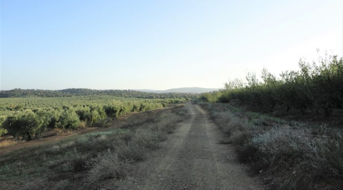 VIA DE LA PLATA I – DAG 2