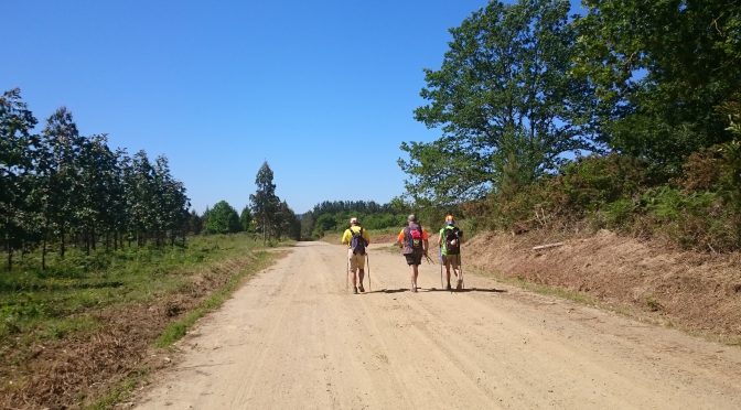 CAMINO INGLÉS – DAG 4