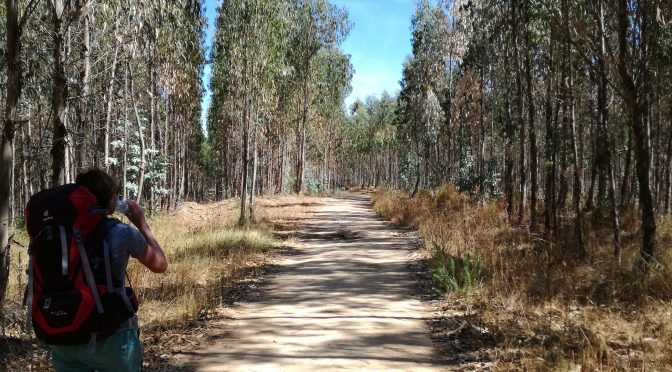 CAMINO PORTUGUÉS – DAG 5