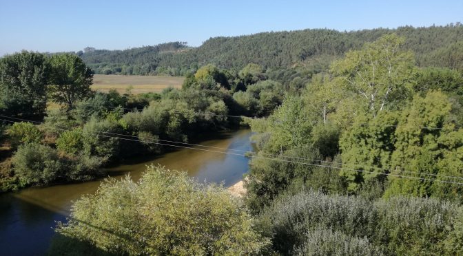 CAMINO PORTUGUÉS – DAG 11