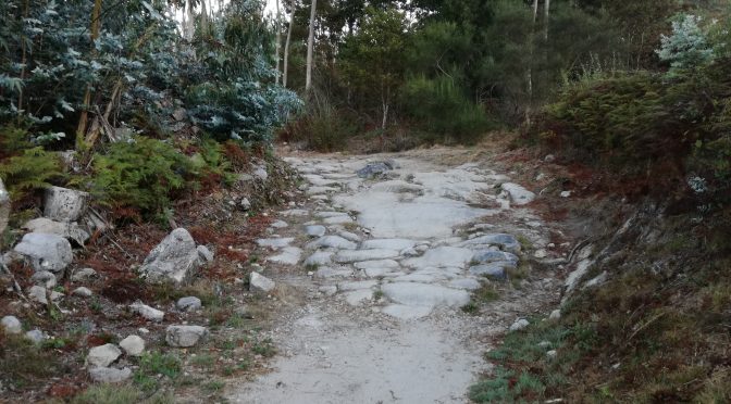 CAMINO PORTUGUÉS – DAG 20