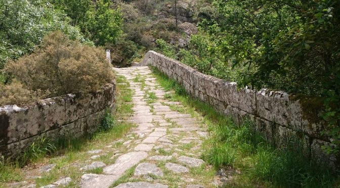 CAMINO SANABRÉS – DAG 12