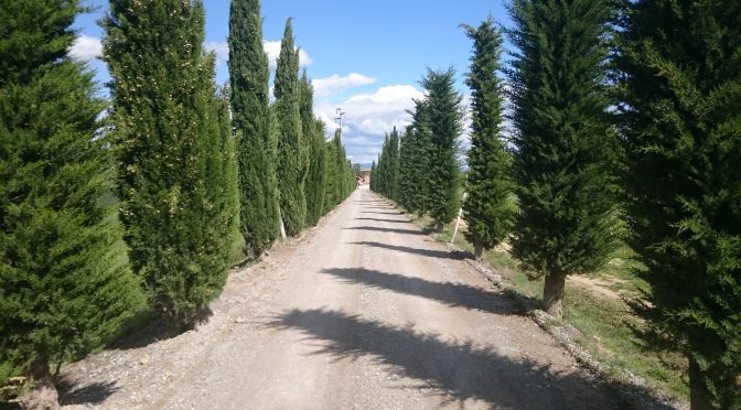 VIA FRANCIGENA II – DAG 13