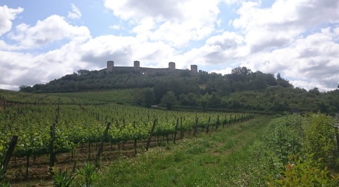 VIA FRANCIGENA II – DAG 15