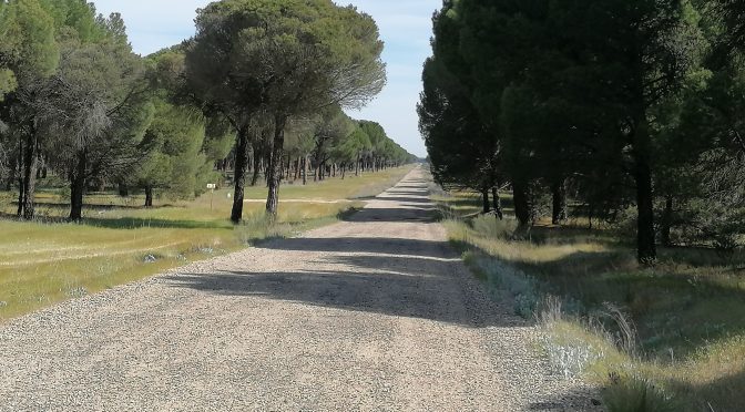 CAMINO DE MADRID – DAG 9