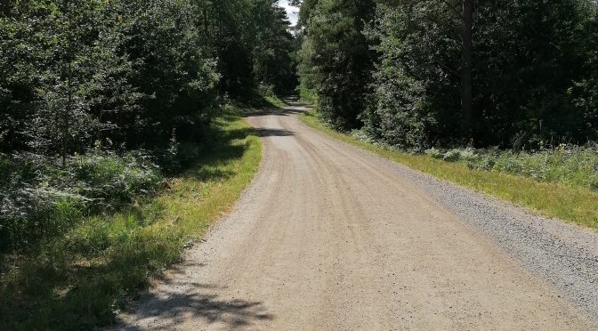 BIRGITTELEDEN – DAG 1
