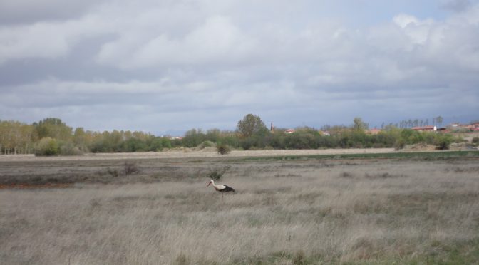 CAMINO FRANCÉS – 2012 – DAG 18