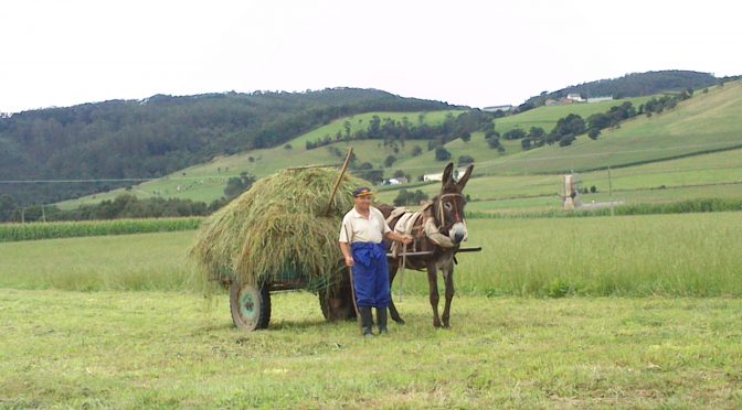 CAMINO DEL NORTE – DAG 23