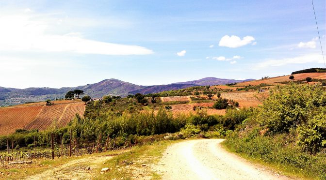 CAMINO FRANCÉS – 2012 – DAG 22