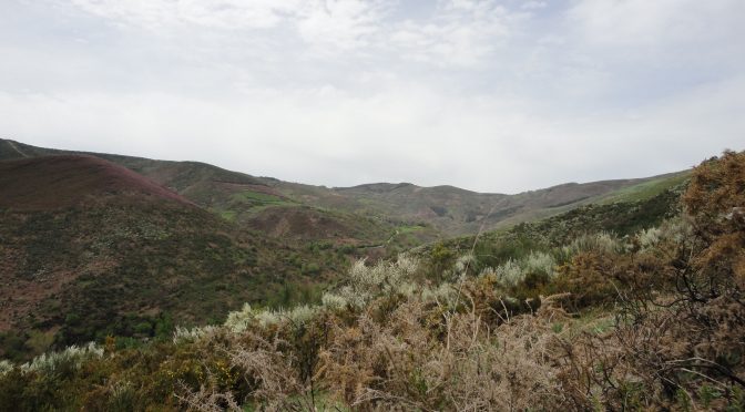 CAMINO FRANCÉS – 2012 – DAG 23