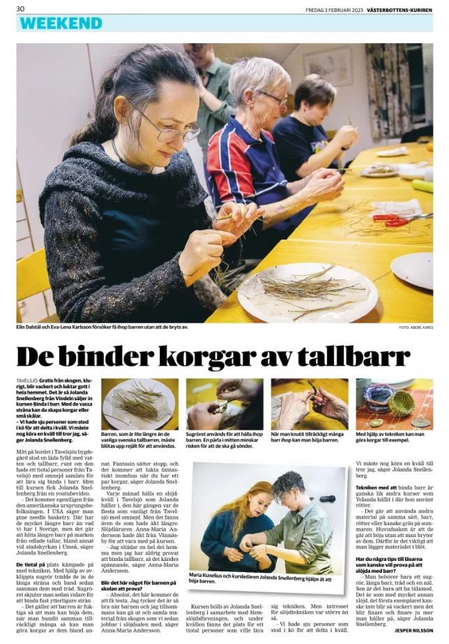 Artikel i VK 3 februari 2023 om en kurs av Den Gröna Fenixen i att slöjda med tallbarr