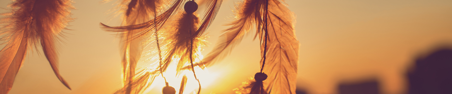 AdobeStock_199192941 Banner.jpeg AdobeStock_199192941 Banner.jpeg