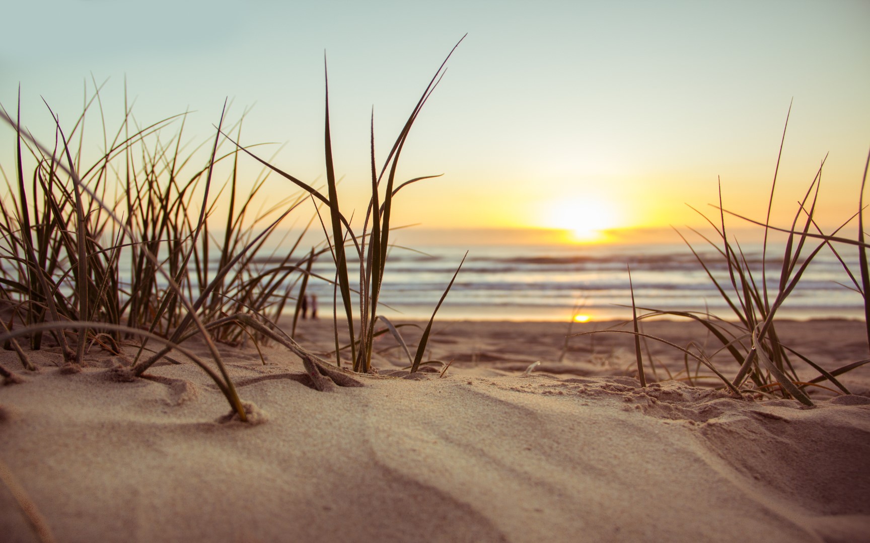 duin en strand