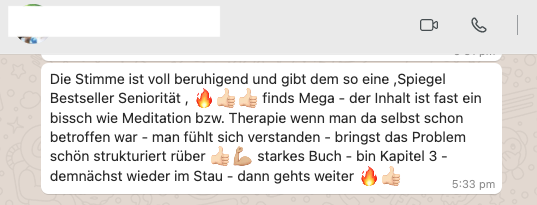 Stef Feedback - Hörbuch