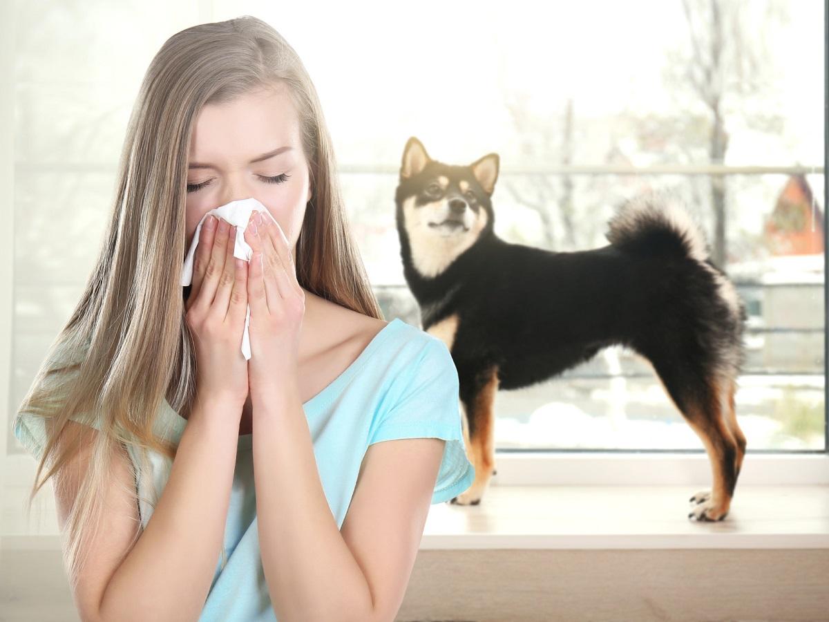 Allergien gegen Hunde. Junge kranke Frau mit Taschentuch und Hund im Hintergrund.
