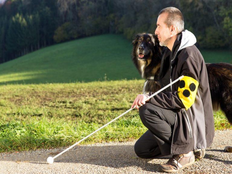 Blindenführhund Von der Ausbildung bis hin zur Zertifizierung