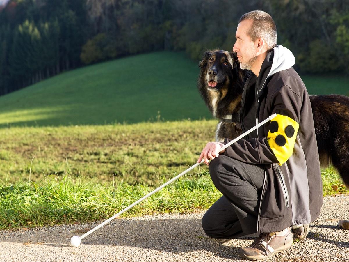 Blindenführhund. Ein blinder Mann kniet neben seinem aufmerksamen Blindenführhund