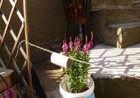 Die Futterrolle auf der Schnurr. Leere Klopapierrolle auf Schnurr vor Blumen.