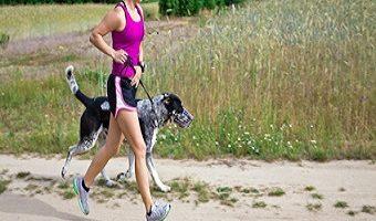 Geländelauf mit Hund. Frau joggt mit Hund an Leine