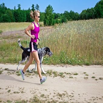 Geländelauf mit Hund. Frau joggt mit Hund an Leine