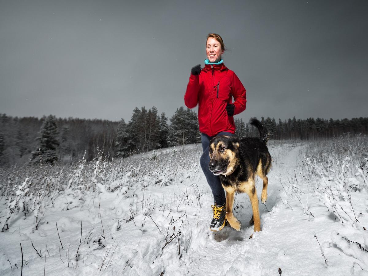 Geländelauf mit Hund. Junge Dame, die auf dem Gebiet des verschneiten Winters mit dem Hund läuft