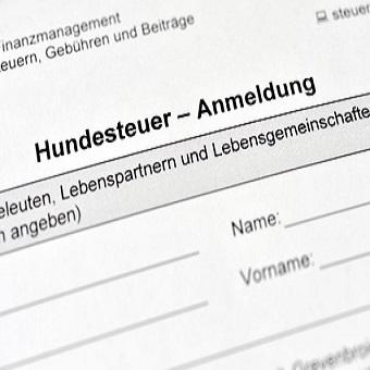 Geschichte der Hundesteuer. Hundesteuer Anmeldeformular