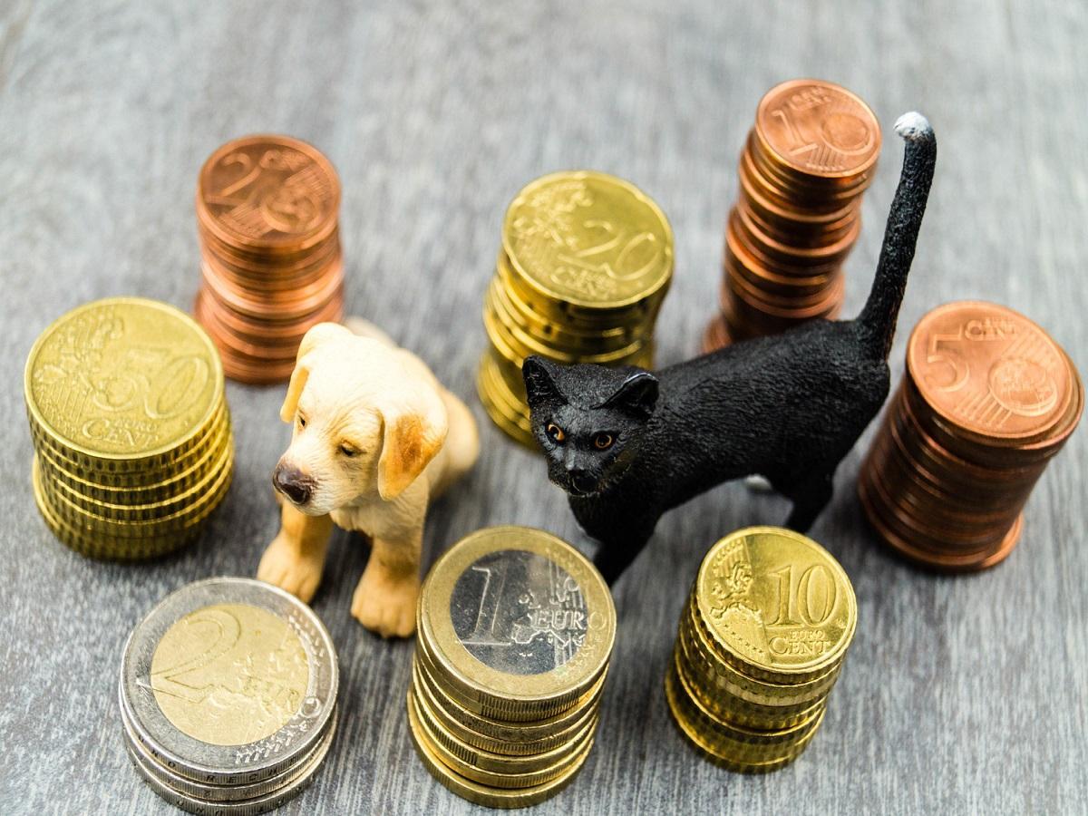 Geschichte der Hundesteuer. Haustierkosten