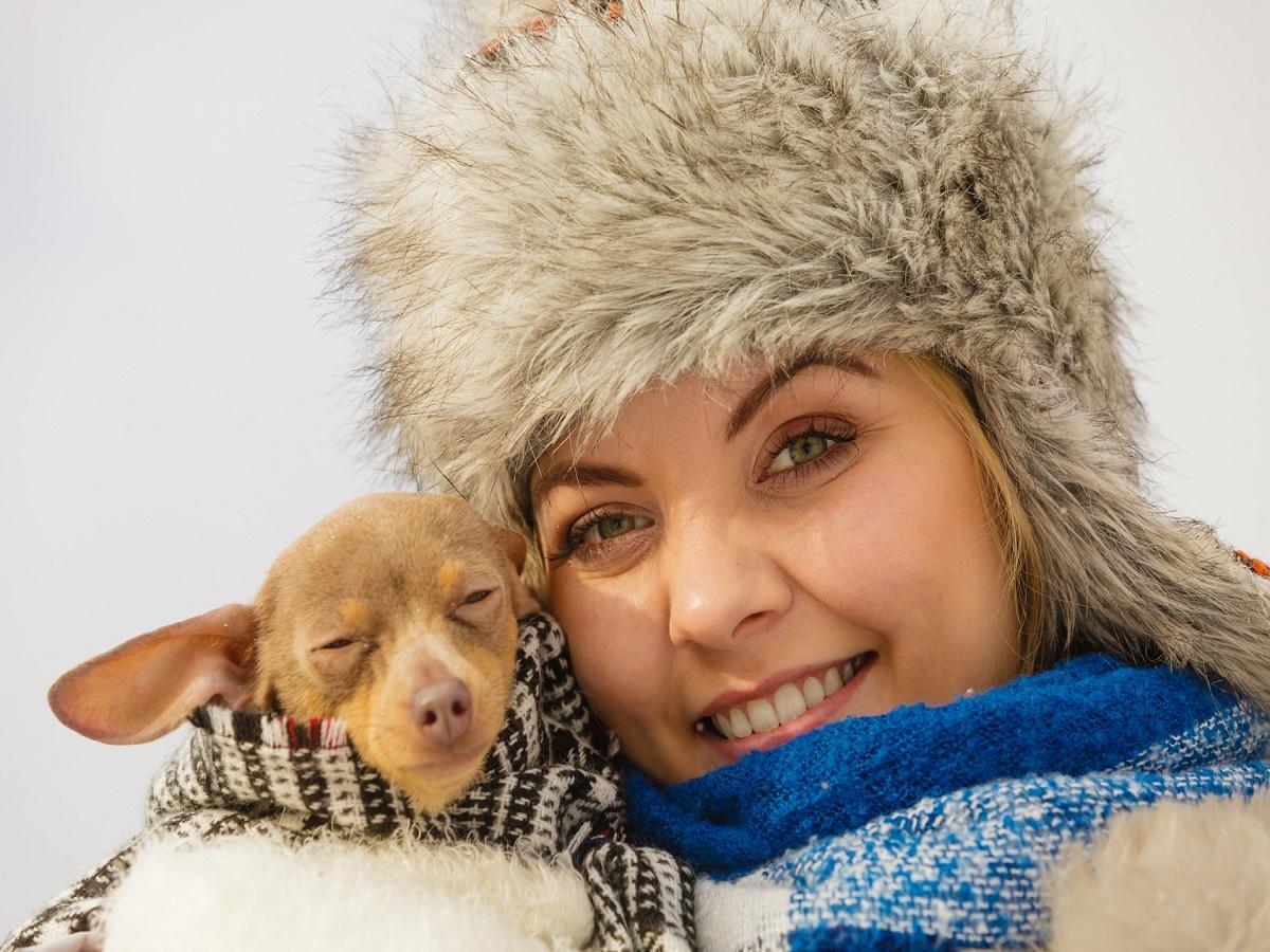Hund bei kälte. Junge Frau wickelte ihren kleinen Hund in warmen umfassenden Schal ein, um ihn am kalten Wintertag zu wärmen.