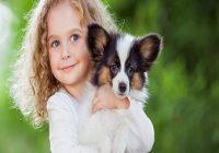 Hund und Kind. Kleines lockiges Mädchen mit einem papillon Welpen, Sommer im Freien