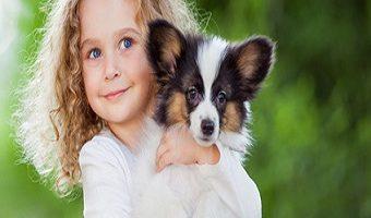 Hund und Kind. Kleines lockiges Mädchen mit einem papillon Welpen, Sommer im Freien