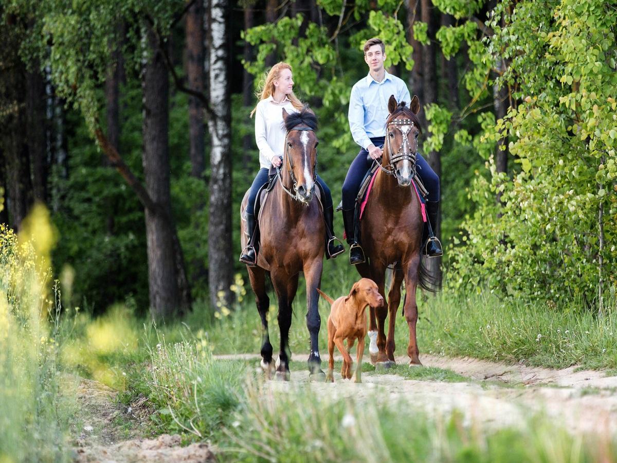 Hund als Reitbegleiter. Junges glückliches Paar mit Hund, das einen Ausritt in einem Sommerwald genießt.