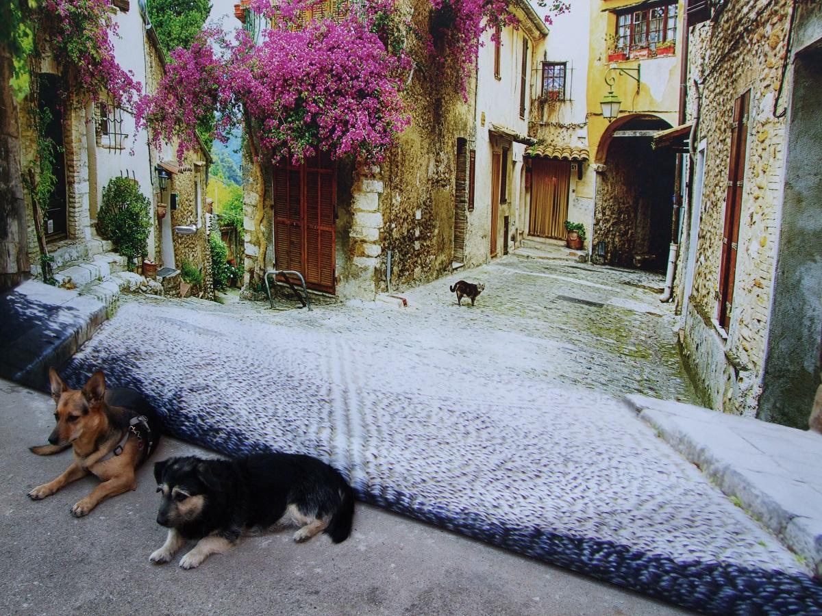 Hundehautwurm beim Hund. Zwei Hunde vor einem Bild der Toskana