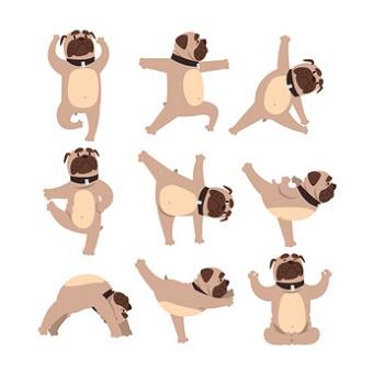 Hundeyoga. Lustige Bulldogge in verschiedenen Yoga Posen. Gesunder Lebensstil. Hund, der körperliche Übungen macht. Cartoon Haustier Charakter. Buntes flaches Vektordesign.