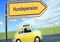 Passende Hundepension. Auto auf dem Weg zu einer Hundepension