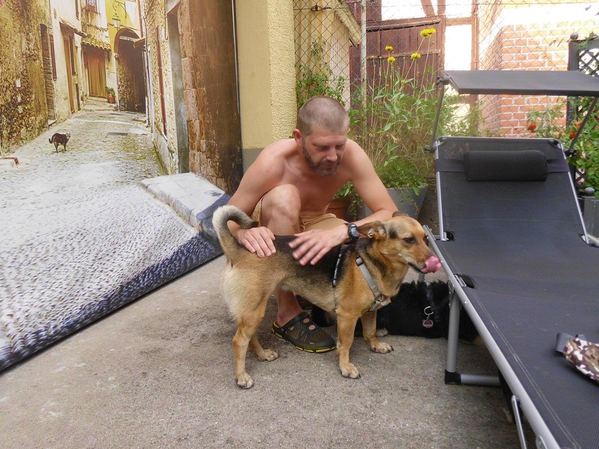 Räude beim Hund. Ein Mann sucht eine Hündin nach Milben ab.