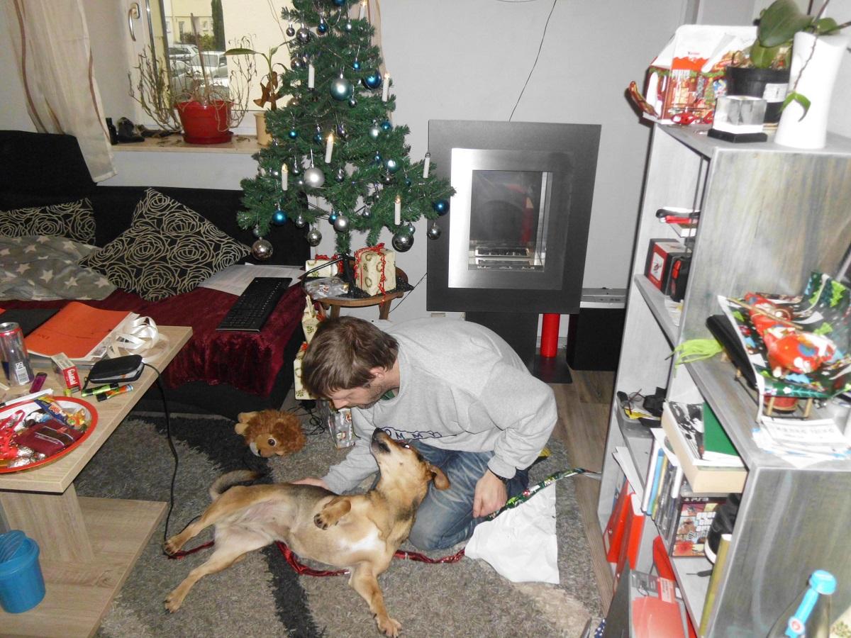 Weihnachtsgeschenk Hund. Mann spielt mit seinem Hund