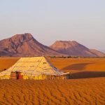 Oasis on the desert, Morocco