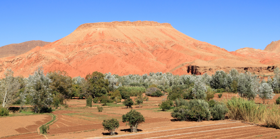 4 Days Desert Tour from Fes to Marrakech