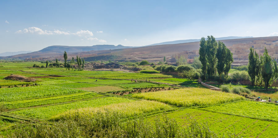 4 Days Desert Tour from Fes to Marrakech