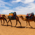 Best of Morocco through Hiking