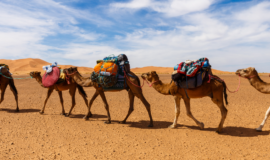 Best of Morocco through Hiking