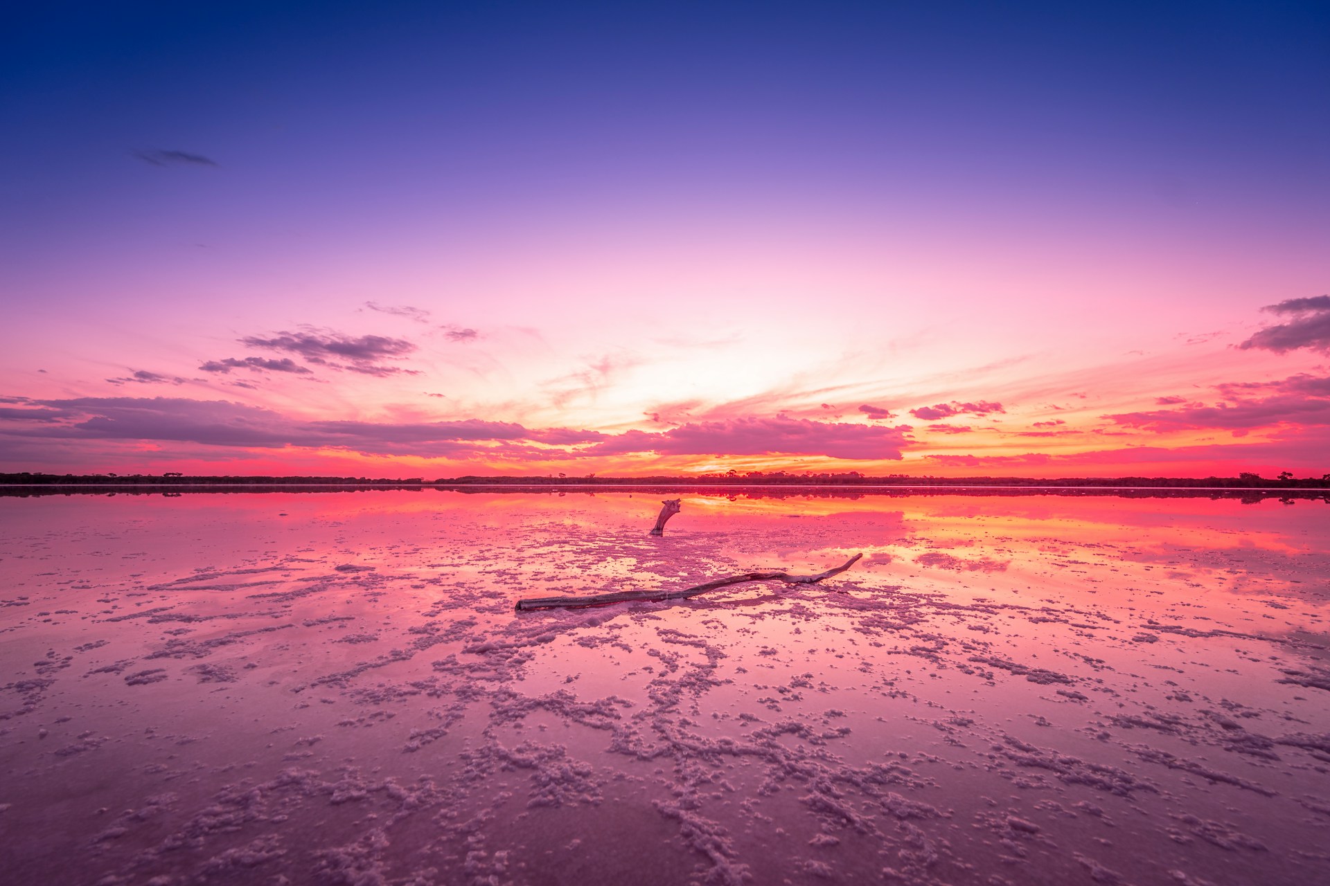 Pink Lake in Western Australia