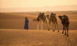 Tour From Marrakech to the Sahara Desert